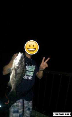 久々のチニングで釣れました。